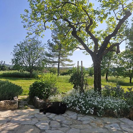 La Bastideta, Apartman Fayence Kültér fotó