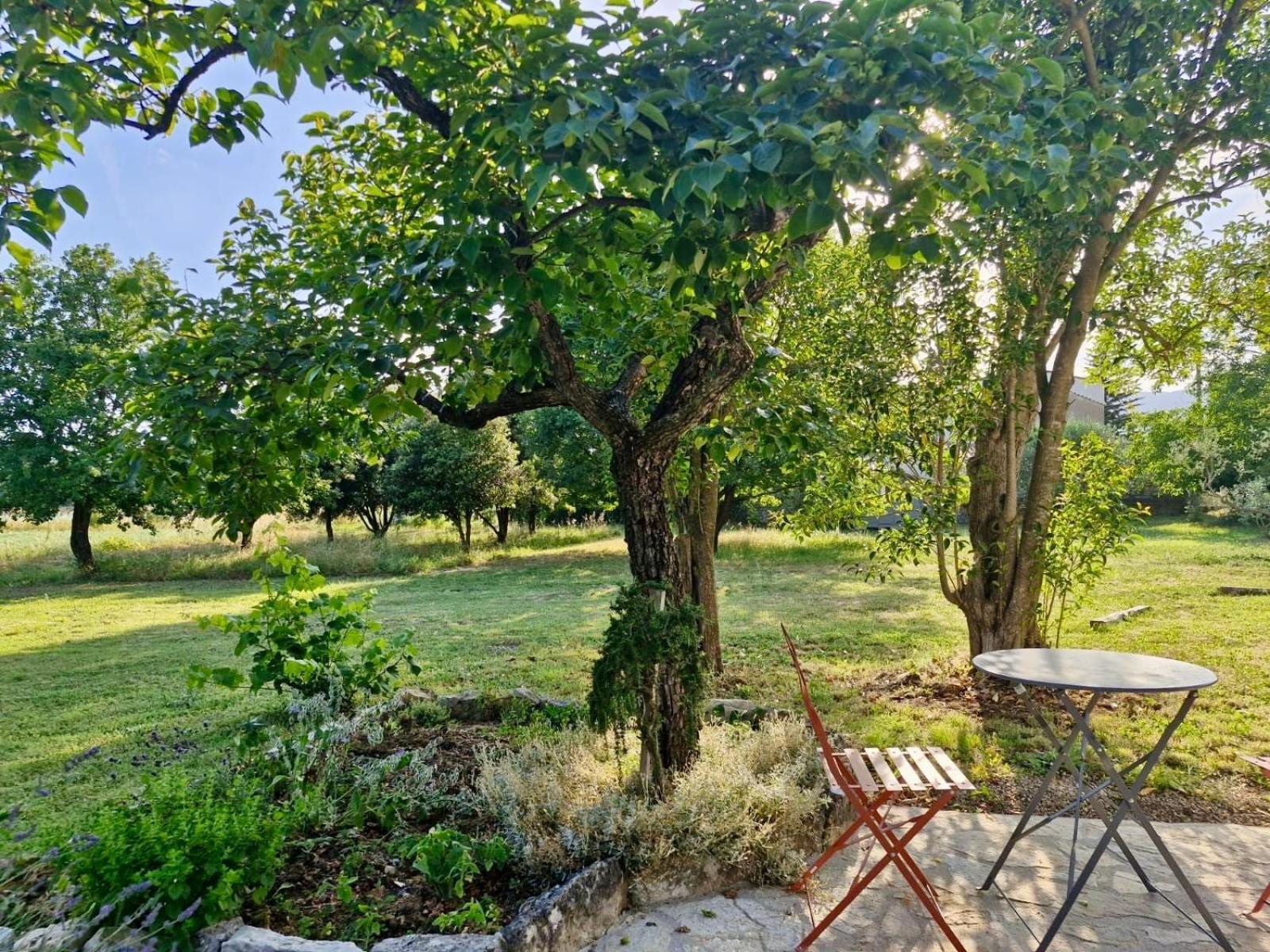La Bastideta, Apartman Fayence Kültér fotó