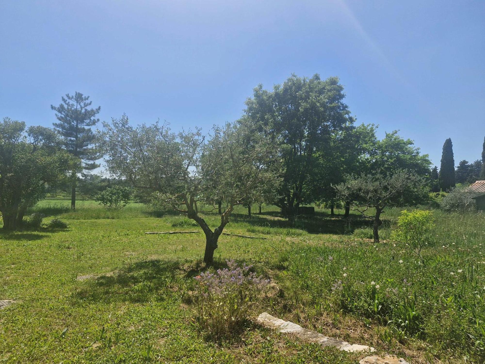La Bastideta, Apartman Fayence Kültér fotó